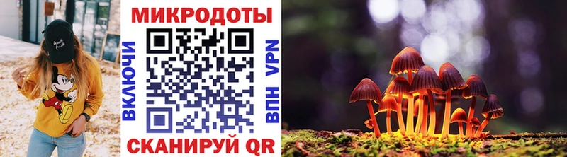 blacksprut как зайти Фатеж Псилоцибиновые грибы Magic Shrooms