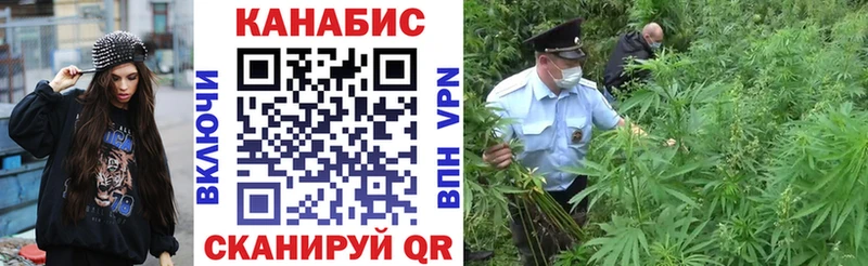 Шишки марихуана семена купить наркотики цена Фатеж